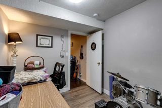 Photo 16: 3706 Dover Ridge Drive SE in Calgary: Dover Detached for sale : MLS®# A2081755