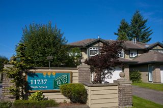 Photo 18: 54 11737 236 Street in Maple Ridge: Cottonwood MR Townhouse for sale in "Maplewood Creek" : MLS®# R2271286