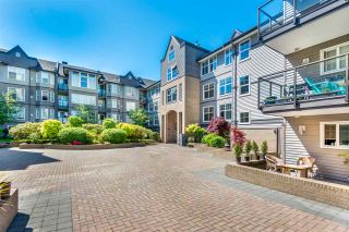 Photo 2: 113 20200 56 Avenue in Langley: Langley City Condo for sale in "THE BENTLEY" : MLS®# R2369284