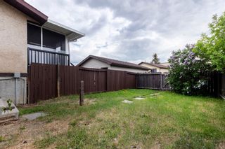 Photo 28: 43 Templemont Drive NE in Calgary: Temple Semi Detached for sale : MLS®# A1228299