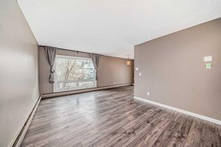 Photo 6: 114 6919 Elbow Drive SW in Calgary: Kelvin Grove Apartment for sale : MLS®# A2129812