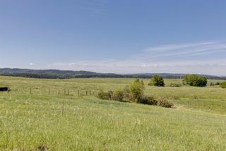 Photo 6: 215025 Plummers Road W: Rural Foothills County Detached for sale : MLS®# A2052900