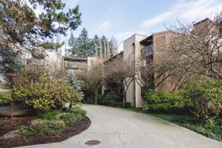 Photo 29: 509 9867 MANCHESTER Drive in Burnaby: Cariboo Condo for sale in "BARCLAY WOODS" (Burnaby North)  : MLS®# R2865204