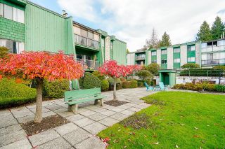 Photo 35: 312 3901 CARRIGAN Court in Burnaby: Government Road Condo for sale in "Lougheed Estates" (Burnaby North)  : MLS®# R2642006
