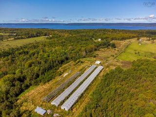 Photo 6: Waldec Line Road in Waldeck East: Annapolis County Farm for sale (Annapolis Valley)  : MLS®# 202319592