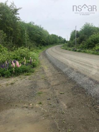 Photo 15: Lot Morganville Road in Bear River: Annapolis County Vacant Land for sale (Annapolis Valley)  : MLS®# 202213446
