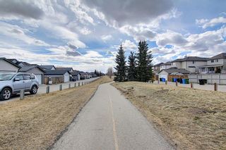Photo 47: 87 Taravista Street NE in Calgary: Taradale Detached for sale : MLS®# A1084185