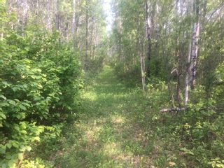 Photo 5: 224002 Township Road 654: Rural Athabasca County Residential Land for sale : MLS®# A2104804