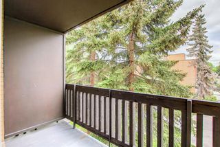 Photo 13: 306 507 57 Avenue SW in Calgary: Windsor Park Apartment for sale : MLS®# A1230759