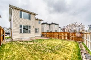 Photo 32: 53 Brightonwoods Green SE in Calgary: New Brighton Detached for sale : MLS®# A1221777