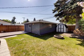 Photo 13: 9559 Assiniboine Road SE in Calgary: Acadia Detached for sale : MLS®# A2053426