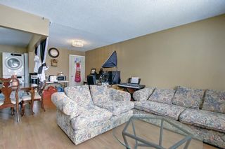 Photo 5: 6303 Rundlehorn Drive NE in Calgary: Pineridge Detached for sale : MLS®# A1181029