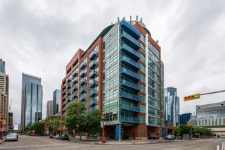 Photo 18: 406 205 Riverfront Avenue SW in Calgary: Chinatown Apartment for sale : MLS®# A1236318