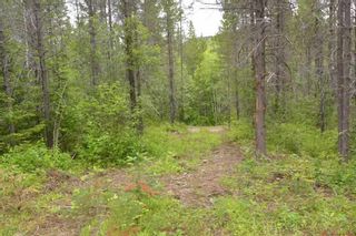 Photo 28: DL 1335A 37 Highway: Kitwanga Land for sale (Smithers And Area (Zone 54))  : MLS®# R2471833