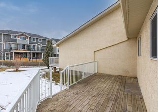 Photo 36: 280 Harvest Grove Place NE in Calgary: Harvest Hills Semi Detached (Half Duplex) for sale : MLS®# A2027328