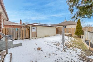 Photo 34: 24 Donley Street in Kitchener: House (Bungalow) for sale : MLS®# X8086740