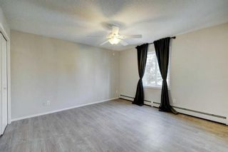 Photo 9: 5309 604 8 Street SW: Airdrie Apartment for sale : MLS®# A2125479