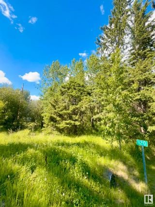 Photo 10: 120 Idle Hours Drive: Rural Barrhead County Vacant Lot/Land for sale : MLS®# E4393943