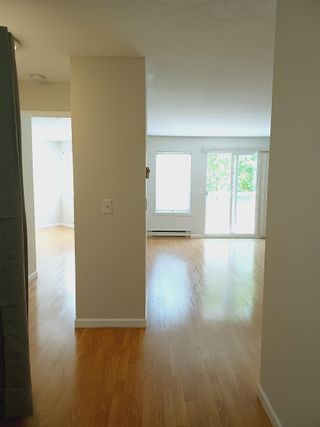 Photo 7: 307 450 BROMLEY Street in Coquitlam: Coquitlam East Condo for sale in "BROMLEY MANOR" : MLS®# R2612328