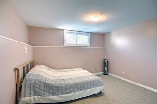 Photo 34: 1008 Sherwood Boulevard NW in Calgary: Sherwood Detached for sale : MLS®# A2010190