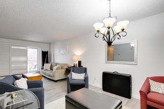 Photo 14: 228 723 57 Avenue SW in Calgary: Windsor Park Apartment for sale : MLS®# A2008004