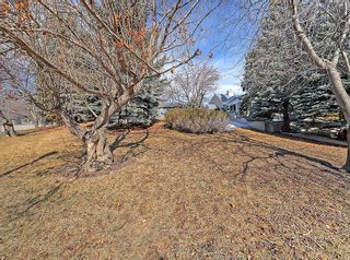 Photo 2: 1134 Premier Way SW in Calgary: Upper Mount Royal Detached for sale : MLS®# A2115089