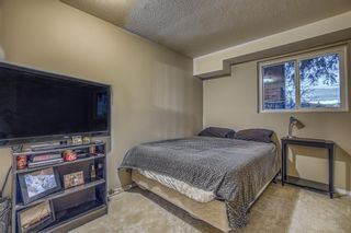 Photo 10: 11 80 Piper Drive: Red Deer Apartment for sale : MLS®# A1162504