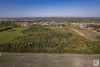 Photo 20: 57231 RGE RD 214: Rural Sturgeon County Vacant Lot/Land for sale : MLS®# E4314901