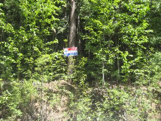 Photo 10: Lot 23 Vickers Trail in Anglemont: Land Only for sale : MLS®# 10011652