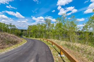 Photo 25: 48196 Highway 7 W: Rural Foothills County Detached for sale : MLS®# A1226540