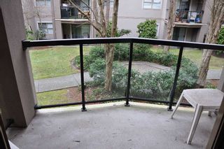 Photo 13: 210A 2615 JANE Street in Port Coquitlam: Central Pt Coquitlam Condo for sale in "BURLEIGH GREEN" : MLS®# R2340367