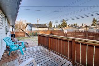 Photo 38: 9615 Assiniboine Road SE in Calgary: Acadia Detached for sale : MLS®# A1202553