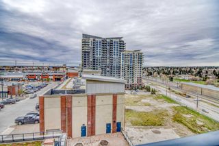 Photo 19: 1002 8710 Horton Road SW in Calgary: Haysboro Apartment for sale : MLS®# A2128595