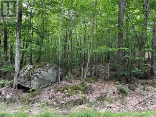 Photo 4: 8 Otter Run in Labelle: Vacant Land for sale : MLS®# 202316992