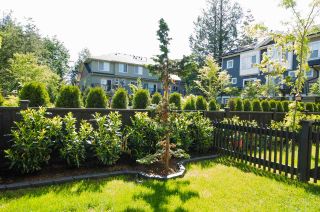 Photo 19: 72 7686 209 Street in Langley: Willoughby Heights Townhouse for sale in "KEATON" : MLS®# R2270555