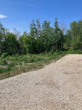 Photo 3: 26319 Meadowview Drive: Rural Sturgeon County Vacant Lot/Land for sale : MLS®# E4330691