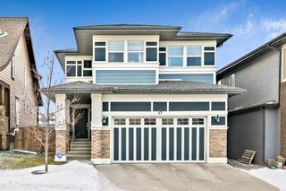 Photo 1: 17 Masters Park SE in Calgary: Mahogany Detached for sale : MLS®# A2013887