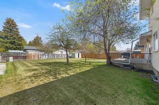Photo 43: 5032 Dalhart Road NW in Calgary: Dalhousie Detached for sale : MLS®# A2049162