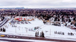 Photo 45: 423 Lake Bonavista Drive SE in Calgary: Lake Bonavista Detached for sale : MLS®# A2108693