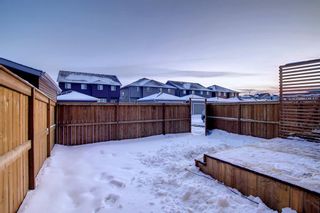 Photo 47: 633 Redstone Drive NE in Calgary: Redstone Semi Detached (Half Duplex) for sale : MLS®# A2010252