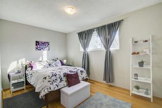 Photo 11: 4431 3 Street NE in Calgary: Greenview Detached for sale : MLS®# A1232463