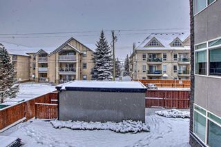 Photo 13: 206 15207 1 Street SE in Calgary: Midnapore Apartment for sale : MLS®# A2110234