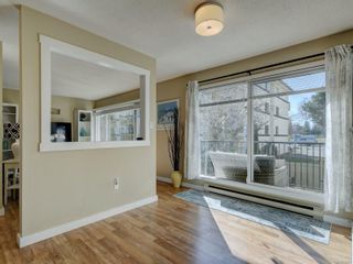 Photo 8: 9 245 Ontario St in Victoria: Vi James Bay Row/Townhouse for sale : MLS®# 896483