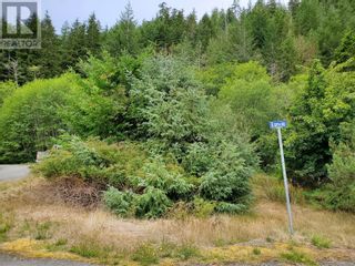 Photo 4: 1 Edith Rd in Tahsis: Vacant Land for sale : MLS®# 940499