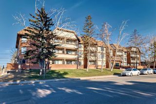 Photo 1: 305 1712 38 Street SE in Calgary: Forest Lawn Apartment for sale : MLS®# A2124805