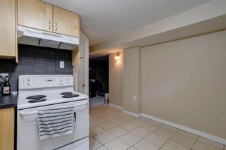 Photo 23: 4320 Worcester Drive SW in Calgary: Wildwood Detached for sale : MLS®# A1250634