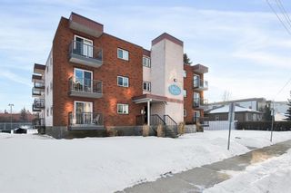 Photo 33: 304 4415 48 Avenue: Red Deer Apartment for sale : MLS®# A2018781