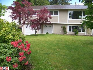 Photo 34: 1960 LILAC Drive in Surrey: King George Corridor House for sale (South Surrey White Rock)  : MLS®# F1014745