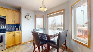 Photo 21: 55 Prairieview Drive in La Salle: House for sale : MLS®# 202400510