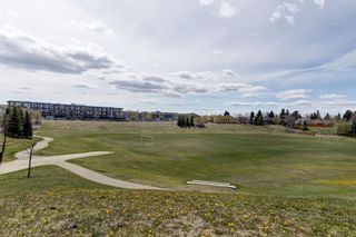 Photo 2: 2820 66 Street NE in Calgary: Pineridge Semi Detached for sale : MLS®# A1219289